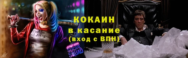 ГАЛЛЮЦИНОГЕННЫЕ ГРИБЫ Наволоки