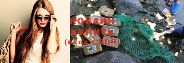 ГАЛЛЮЦИНОГЕННЫЕ ГРИБЫ Наволоки