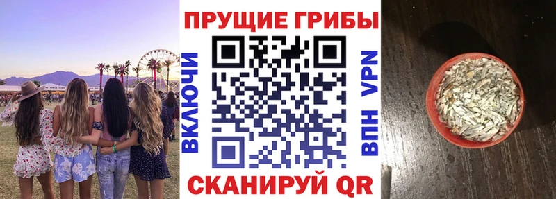 Галлюциногенные грибы Psilocybe Приволжск